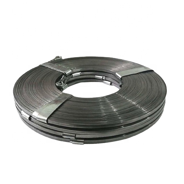 Flat Steel Wire (3)